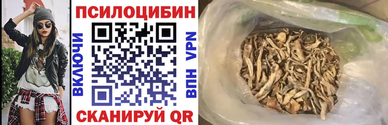 Псилоцибиновые грибы прущие грибы  Коломна 